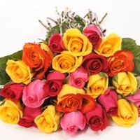 36 Mixed Blossoms Roses